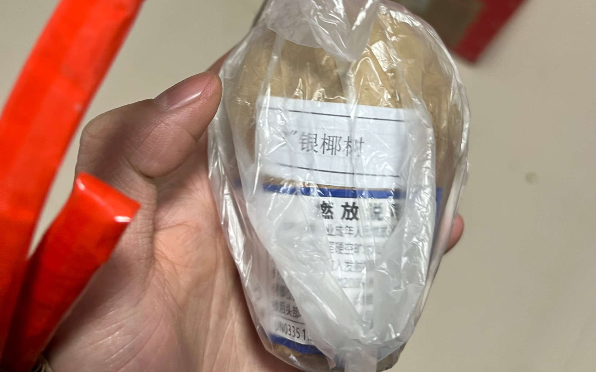 3寸礼花弹土豆椰子:银椰树.自己加装了一颗1.