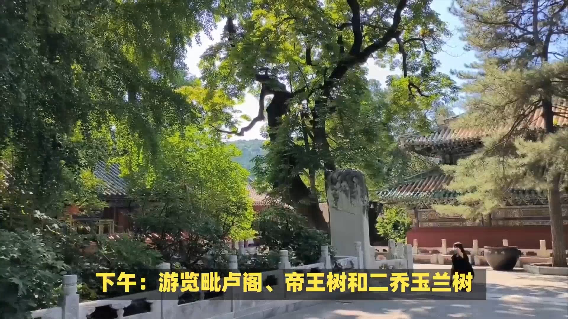 千年古刹,北京潭柘寺深度游攻略哔哩哔哩bilibili