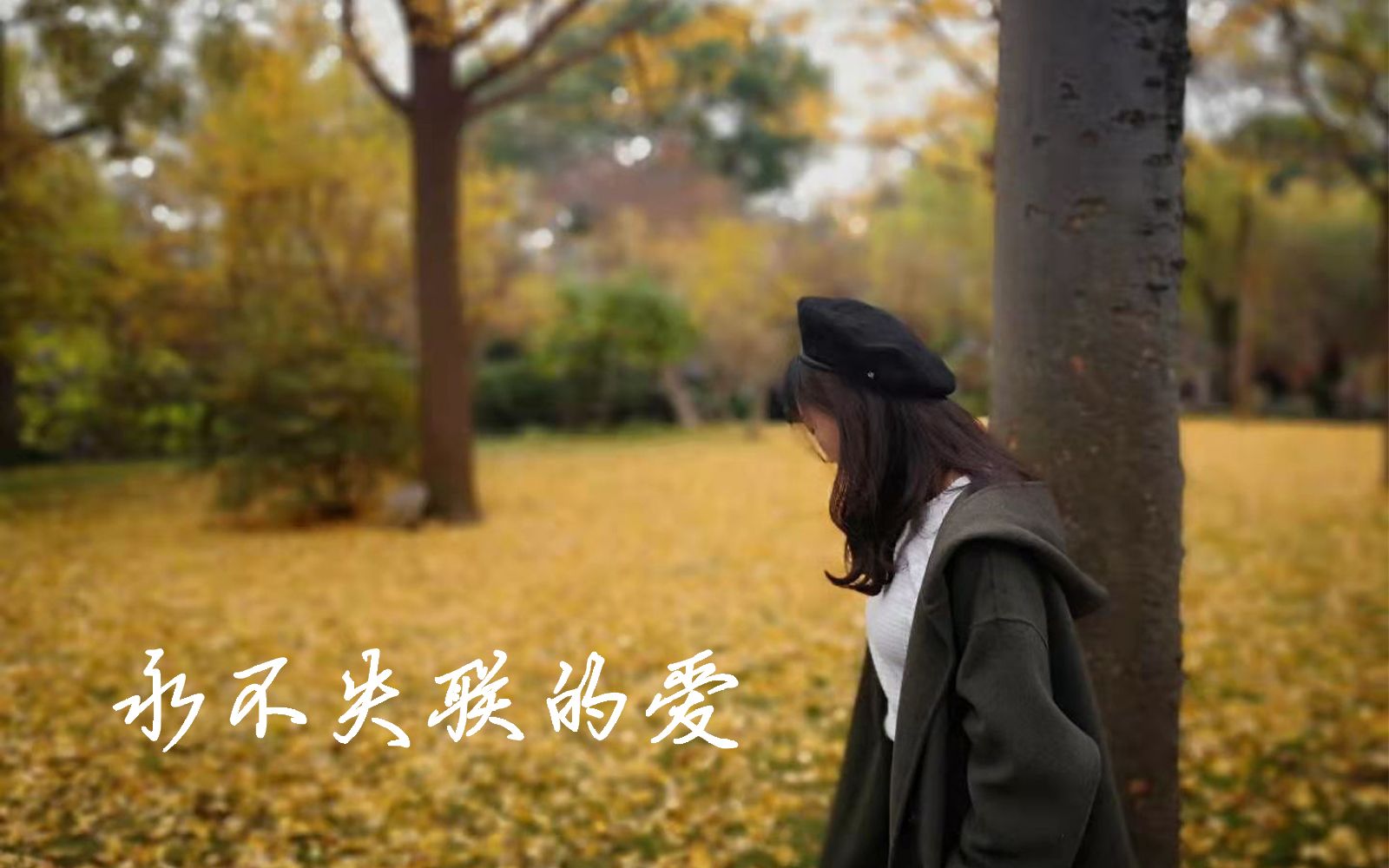 肆零周兴哲永不失联的爱