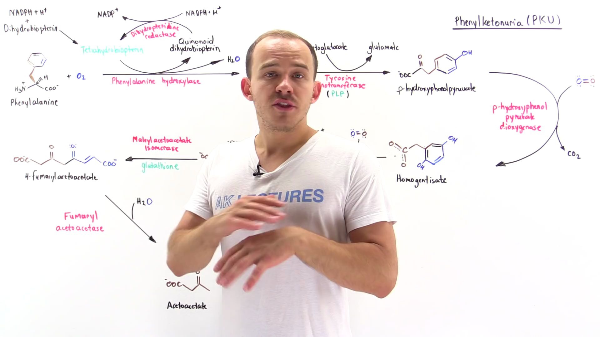 遗传病:苯丙酮尿症