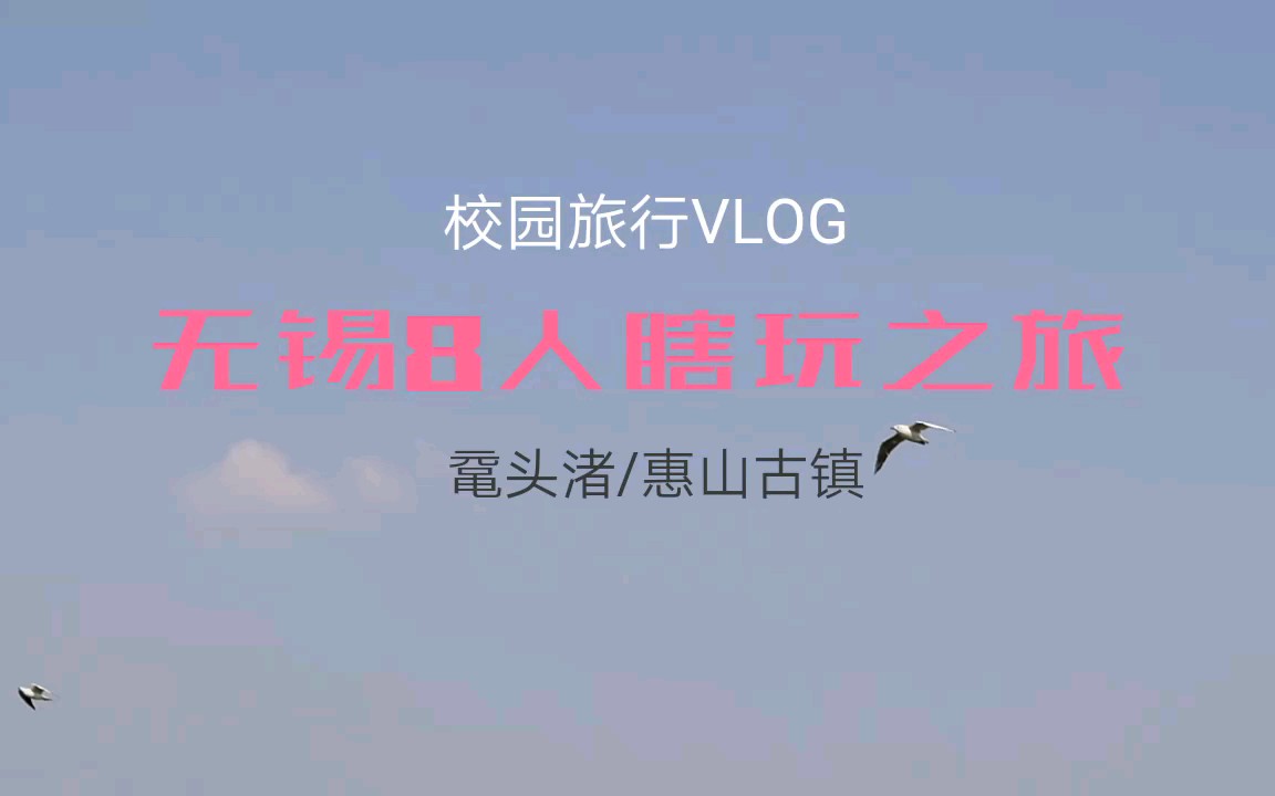 「VLOG」研究生生活——八个人无锡鼋头渚+惠山古镇两日游哔哩哔哩bilibili