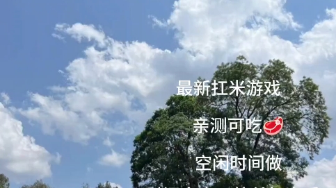 游戏搬砖挺简单的,动动手指就能有两包华子,主要是轻松,时间也自由,有没有一起的网络游戏热门视频