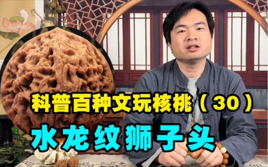 科普百种文玩核桃30水龙纹狮子头,纹路漂亮但是精品难求哔哩哔哩bilibili