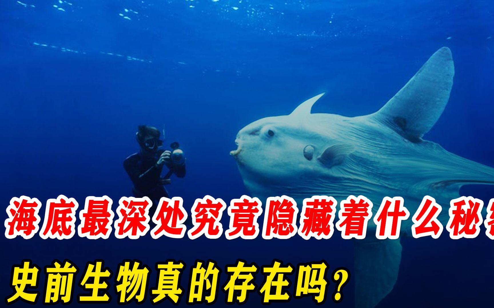 馬裡亞納海溝底部藏有什麼秘密?史前生物真的藏身於海溝底部嗎?