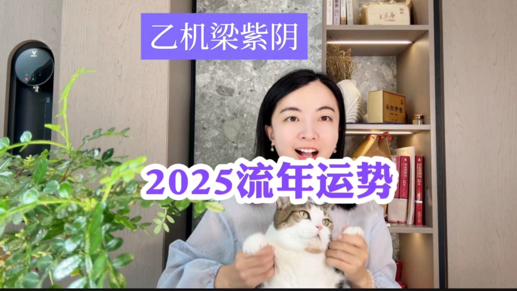 2025流年运势.乙机梁紫阴哔哩哔哩bilibili