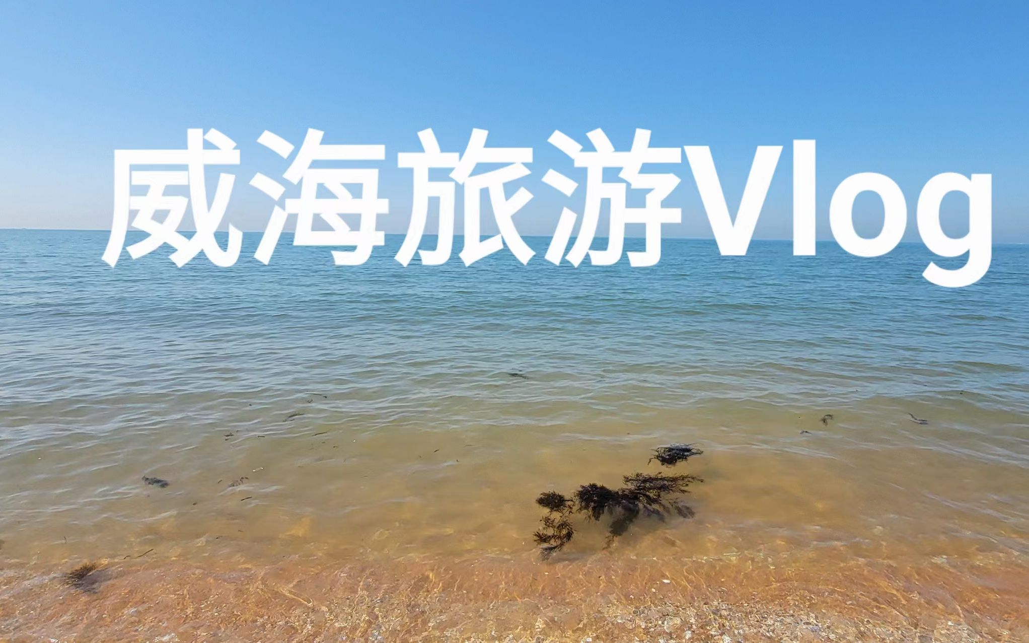 [威海旅游Vlog]哔哩哔哩bilibili