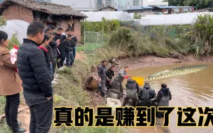 Download Video: 大叔花1500元在鱼塘抓一次鱼，到底拉一网能抓多少鱼？结果赚到了