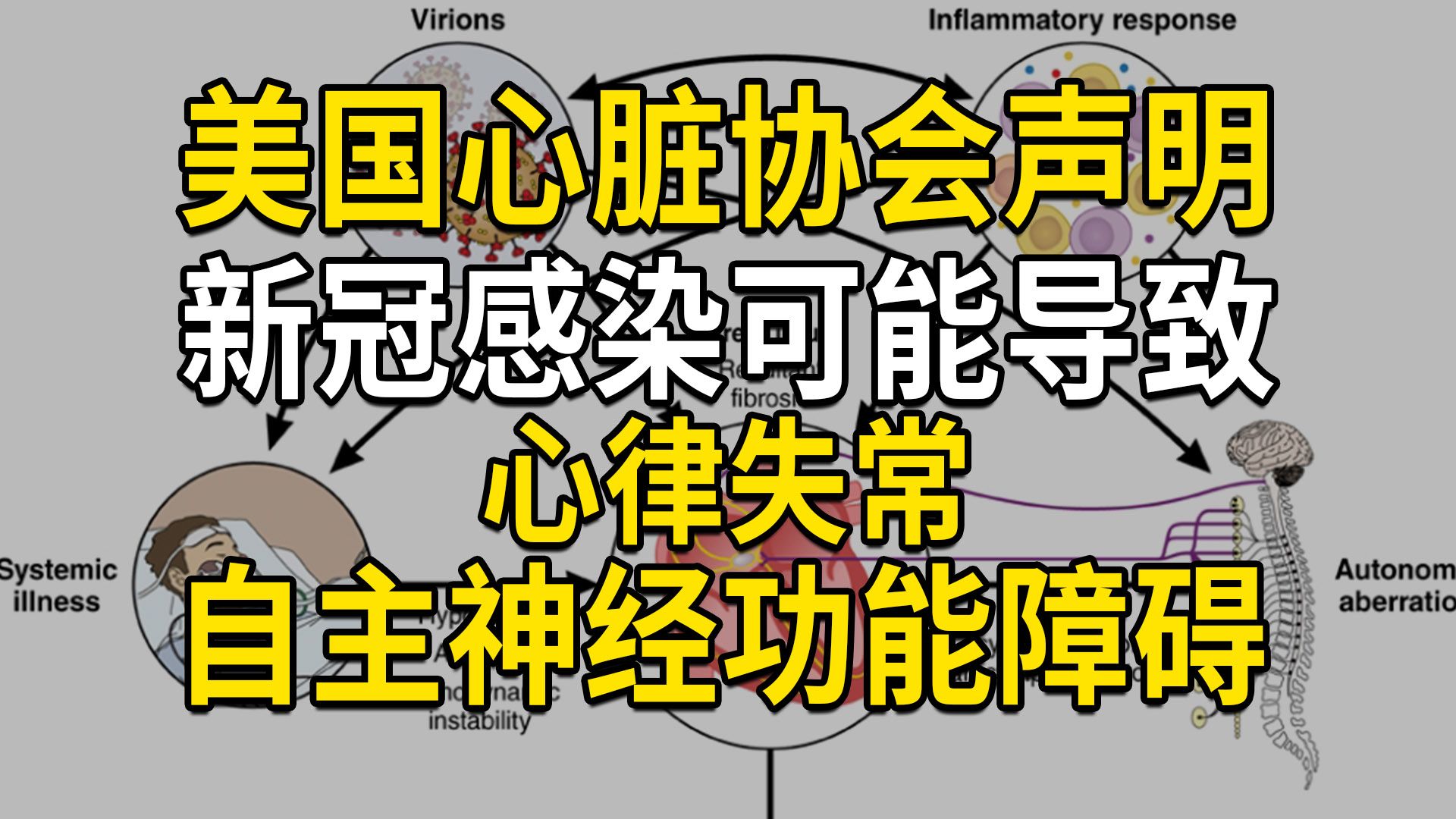 新冠感染可能导致心律失常和自主神经功能障碍:美国心脏协会的科学声明;新冠感染投票结果分析哔哩哔哩bilibili