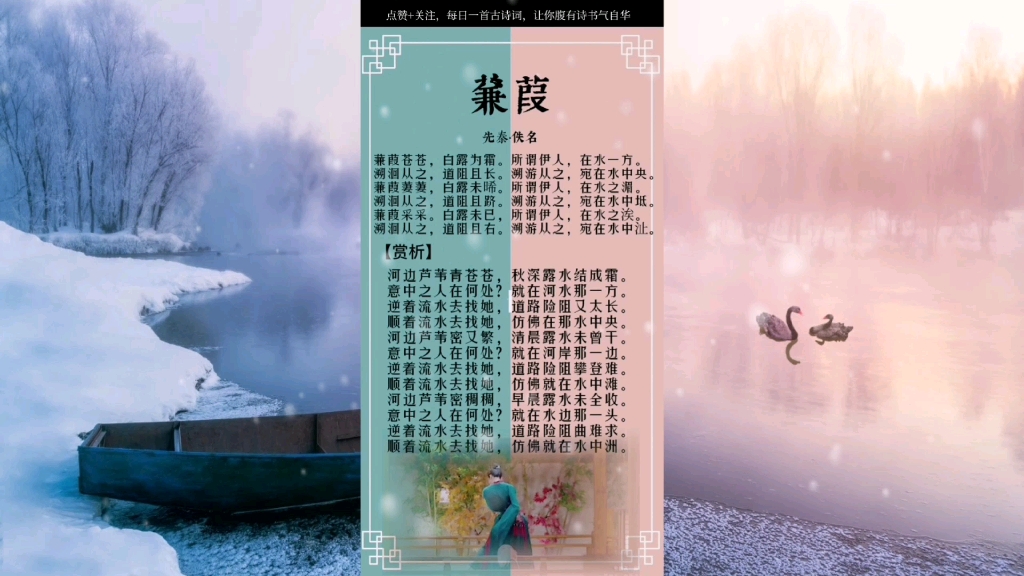 活动作品蒹葭诗经中必背诗词