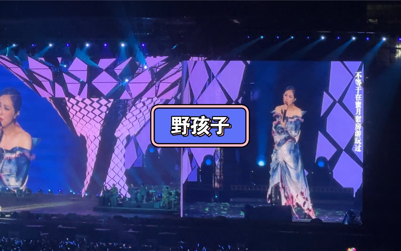 野孩子-杨千嬅武汉演唱会