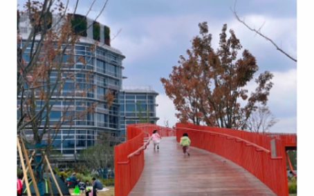 秋天的李子园公园 (普陀新晋网红遛娃地)