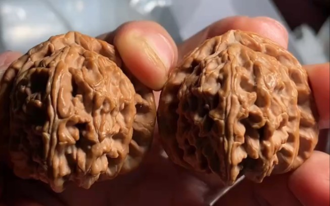 文玩核桃 精品 三角白 白狮子头 四大名核之一