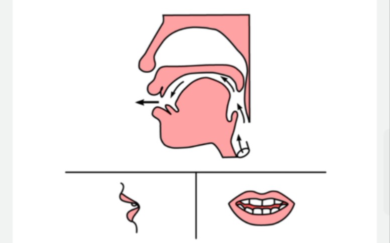 普通话考试基础发音【声母h】