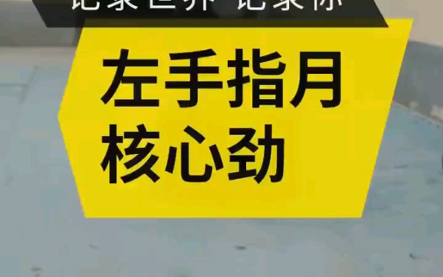 [图]此乃龙吟虎啸～有没有高手来解释一下，是否真实。