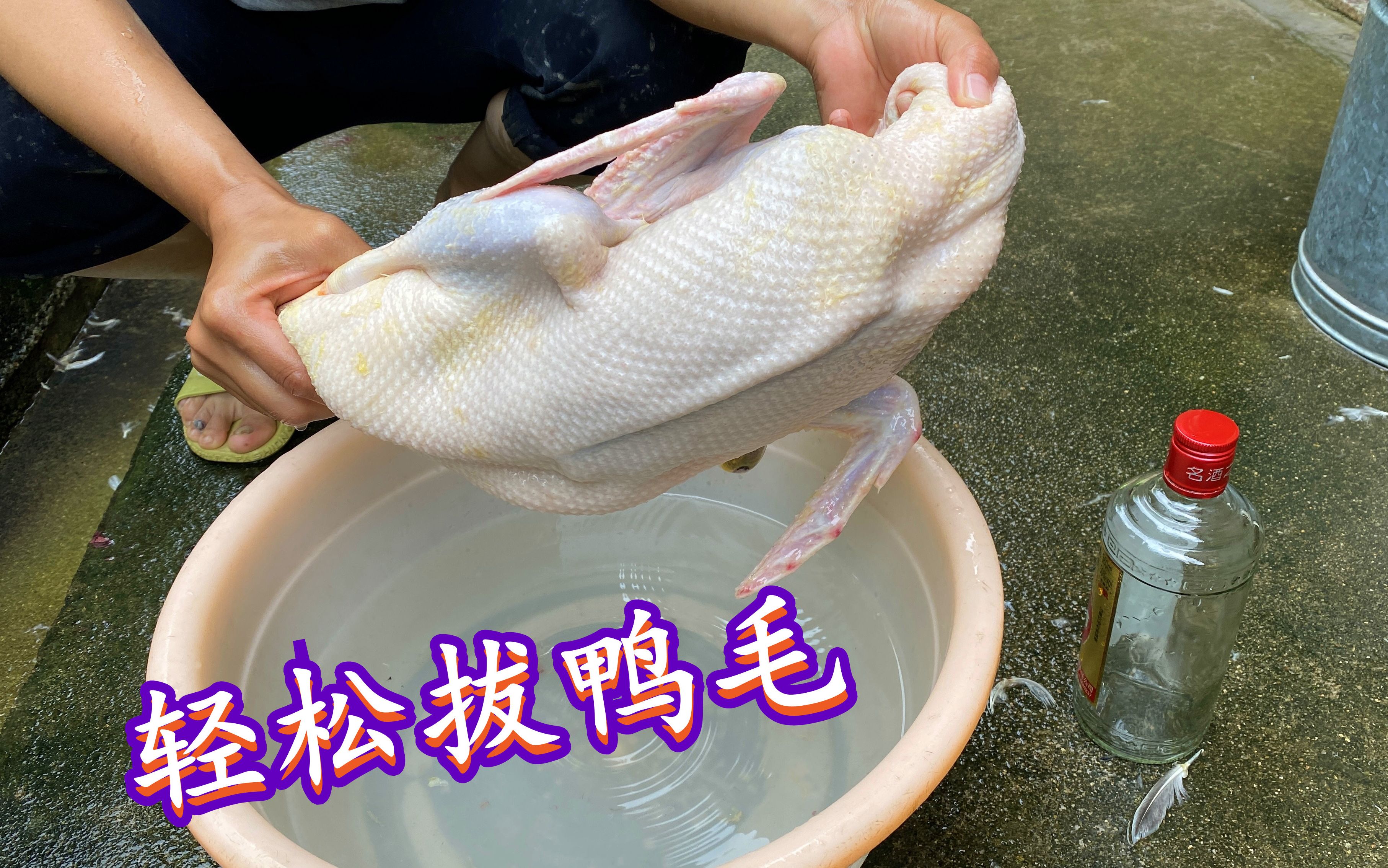 鸭子怎样拔毛才更快?小伙教你一招,拔鸭毛就像脱衣服一样快