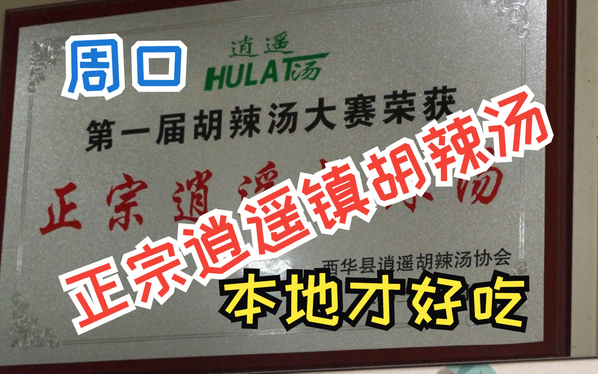 周口市西华县张大辉逍遥镇胡辣汤,胡辣汤金奖,正宗的还是要在本地吃!真的好吃!!哔哩哔哩bilibili