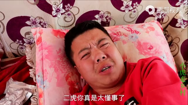 小虎走乡村之小虎不辛患上了脑癌朋友