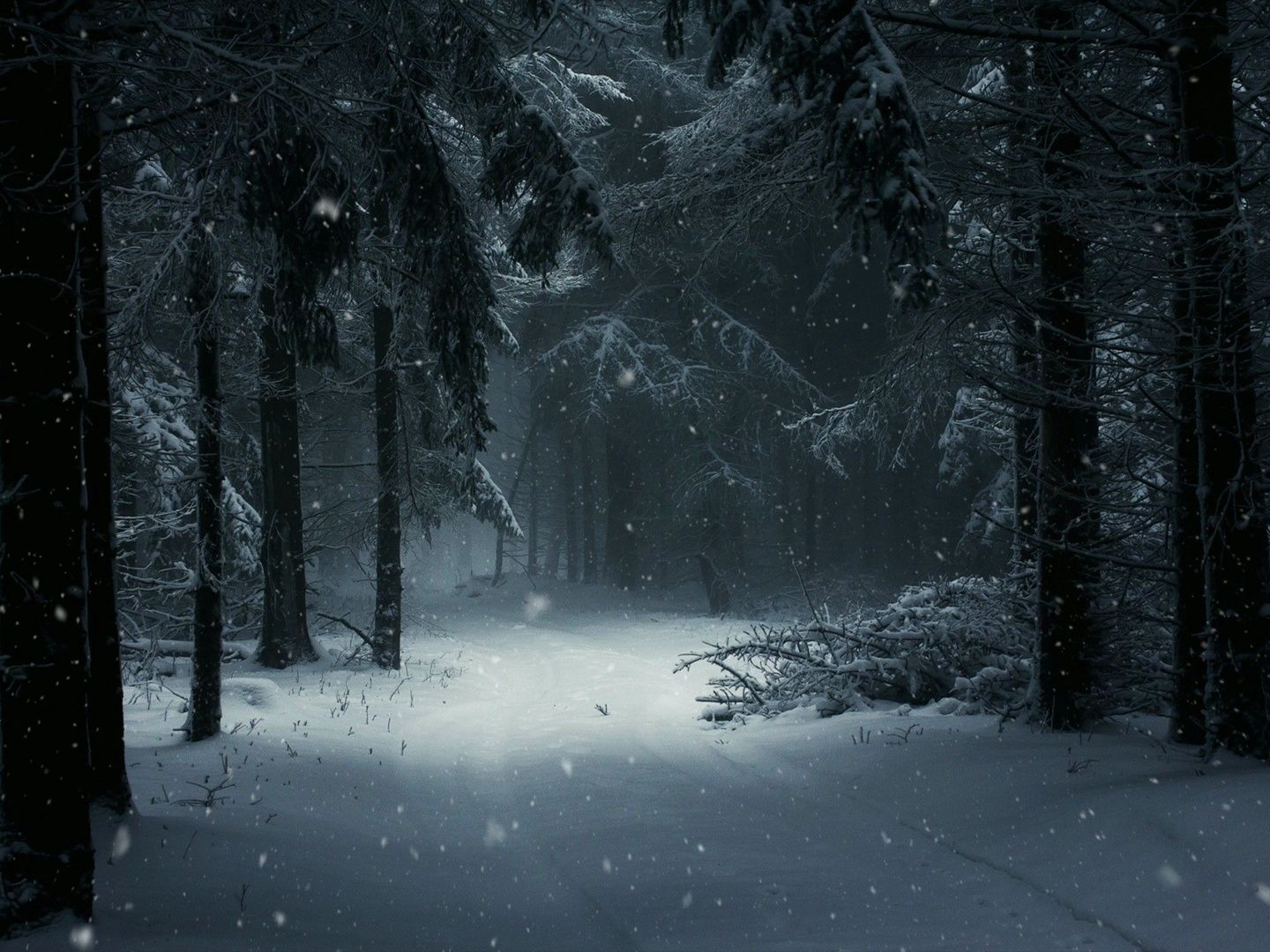 "冬季 雪天 黑夜 森林"《风驶过的声音是》