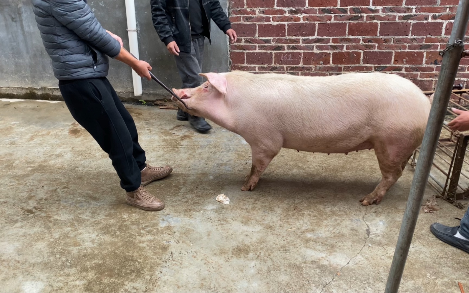 横县猪肉生,农村酒席,你们都混到那个位置了.