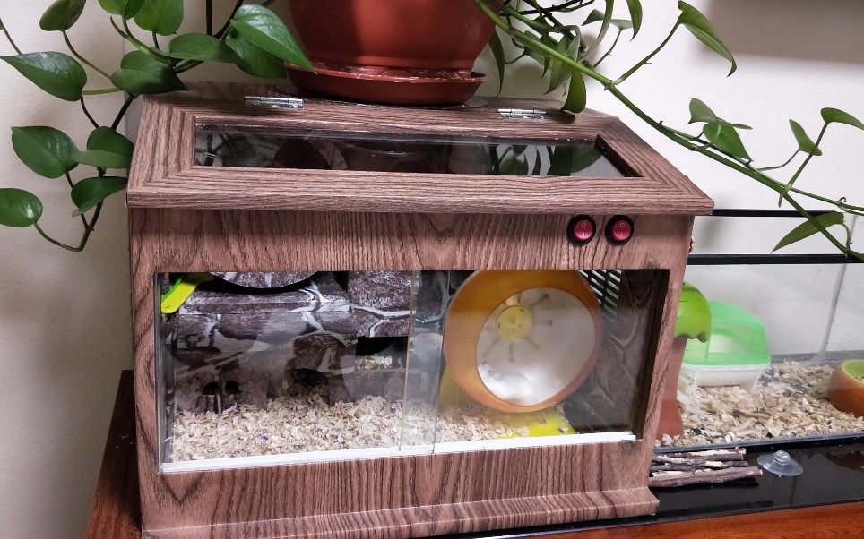 【仓鼠】超级精致的仓鼠豪宅