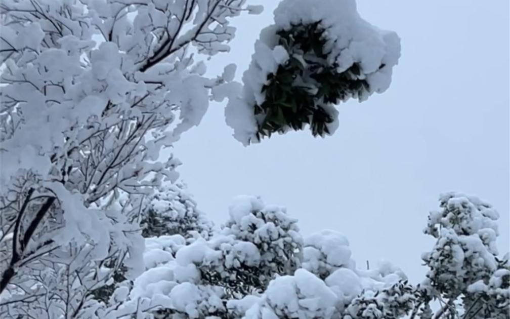 长沙真的下雪了哔哩哔哩bilibili