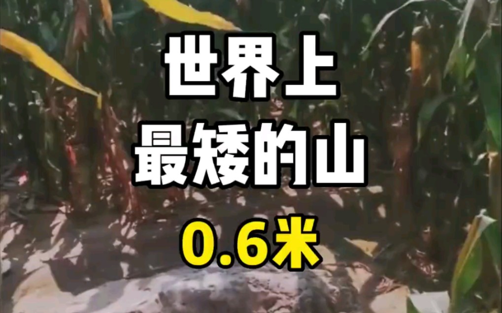 世界上最矮的山,静山哔哩哔哩bilibili