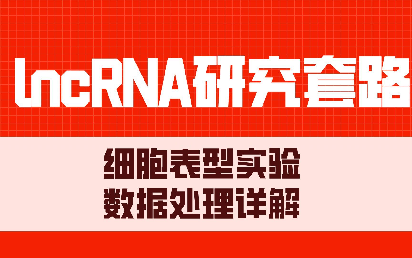 lncRNA热点,细胞表型实验,文章逻辑套路演化规律哔哩哔哩bilibili