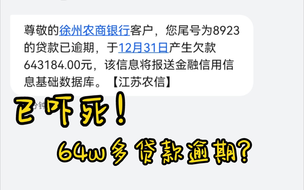 收到64万多的银行贷款逾期信息,元旦差点要去公安局过了哔哩哔哩bilibili