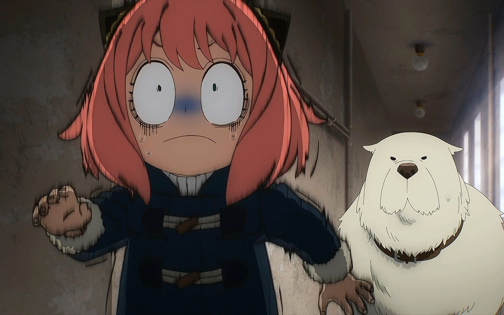 邦德:我和我的冤种主人