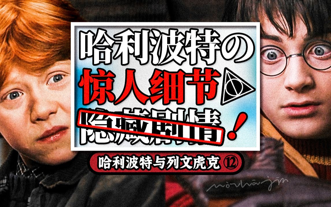 【盘点】哈利波特的惊人细节和隐藏剧情丨哈利波特与列文虎克12丨死亡圣器上④哔哩哔哩bilibili