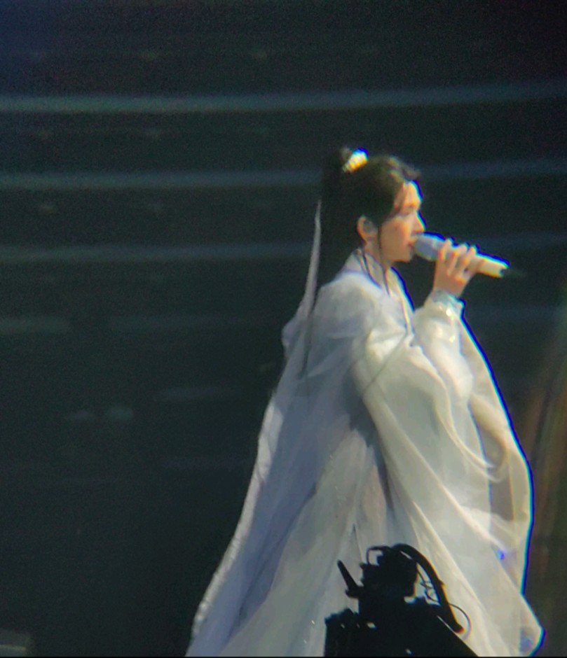 【自存】刘宇成都瀧演唱会 白素贞 靠岸(宝宝走过来看台这边真的心动