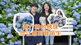 Télécharger la video: 两广花友经验分享，大花绣球爆花要点