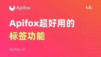 如何使用Apifox标签功能