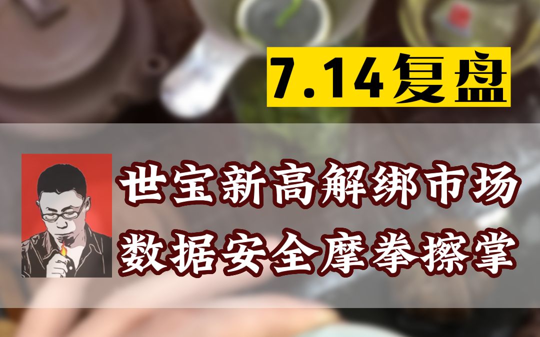 世宝新高解绑市场,数据安全摩拳擦掌哔哩哔哩bilibili