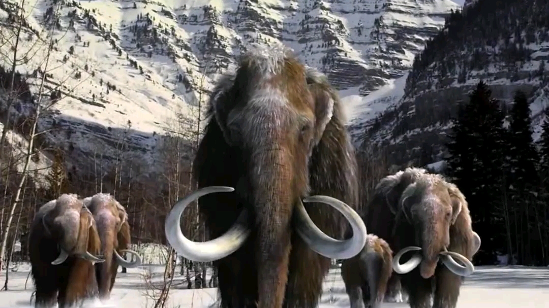 如果猛犸象还活着会怎么样