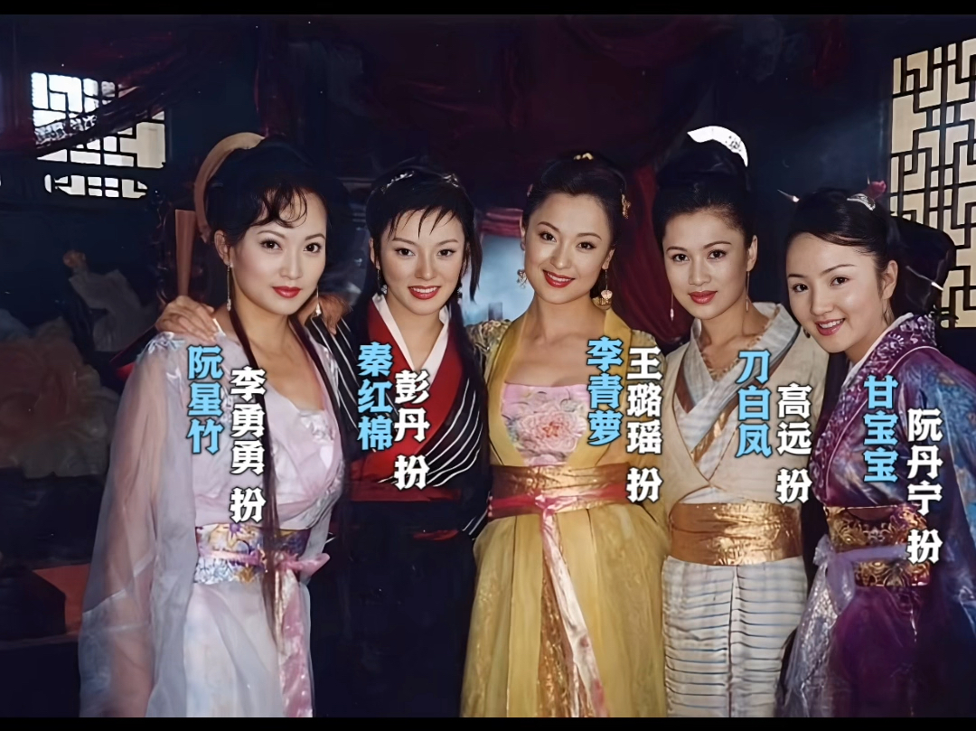 2002年天龙八部段正淳娇妻们合影