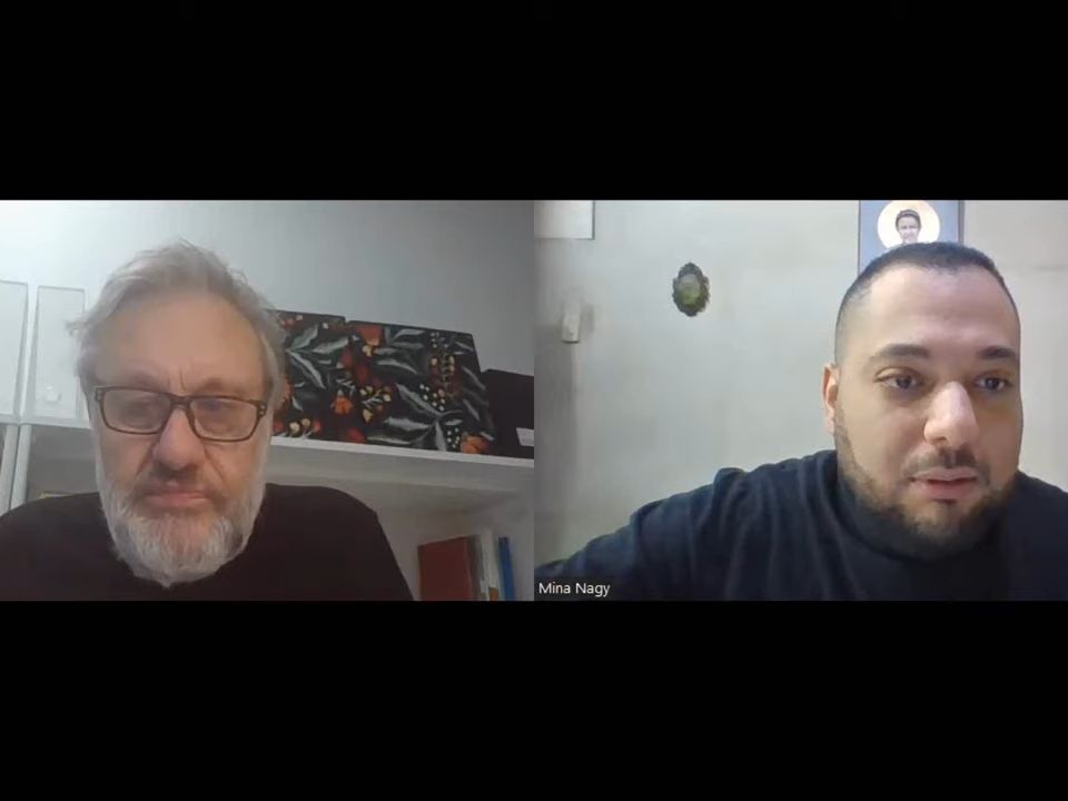 slavoj z08iz08ek with egyptian writer on palestine israel