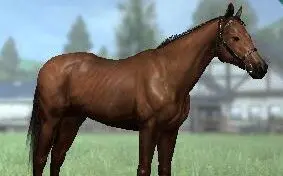 朝日杯fs 搜索结果 哔哩哔哩 Bilibili