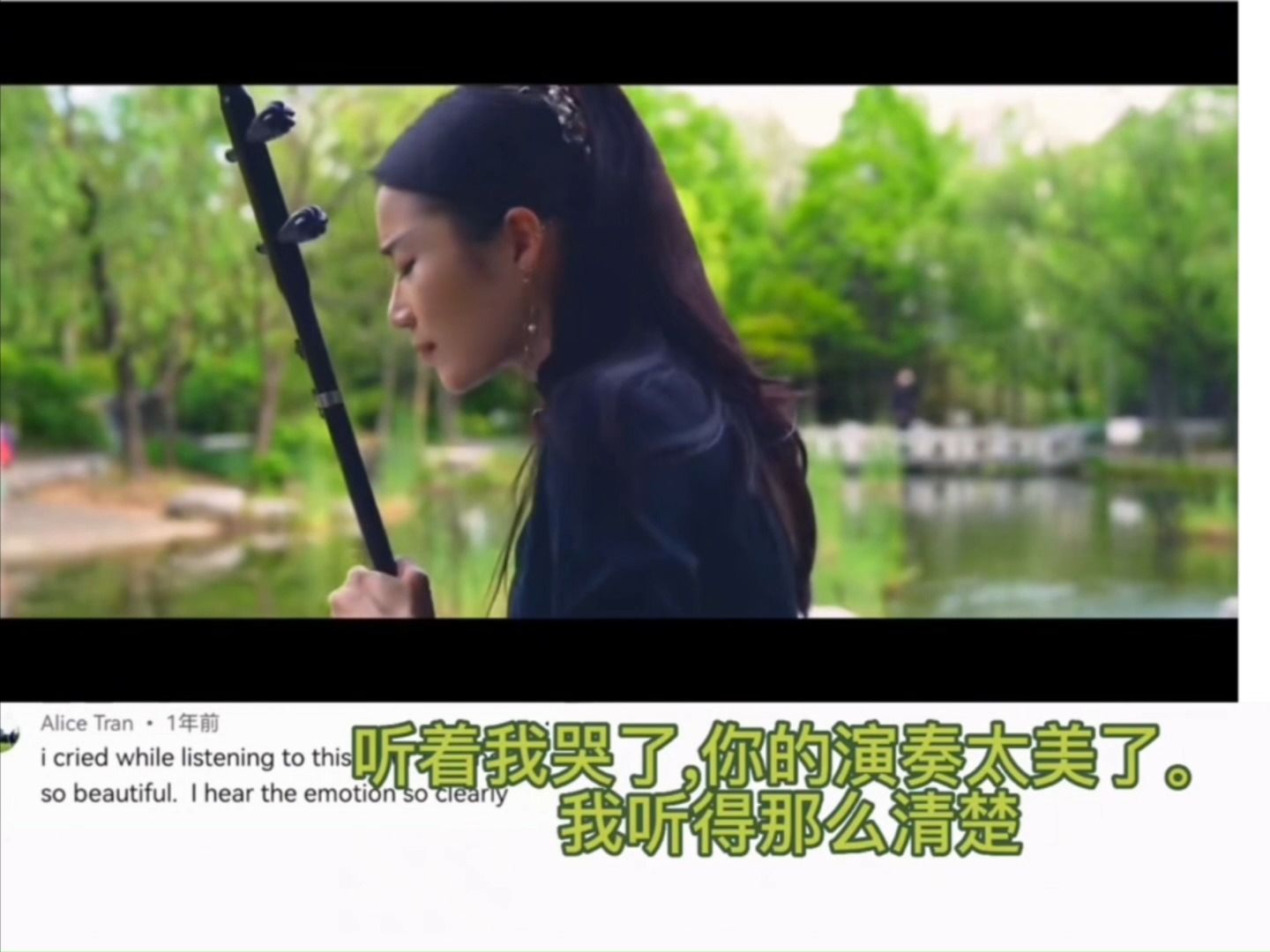 油管热评中国音乐二胡版《凉凉》