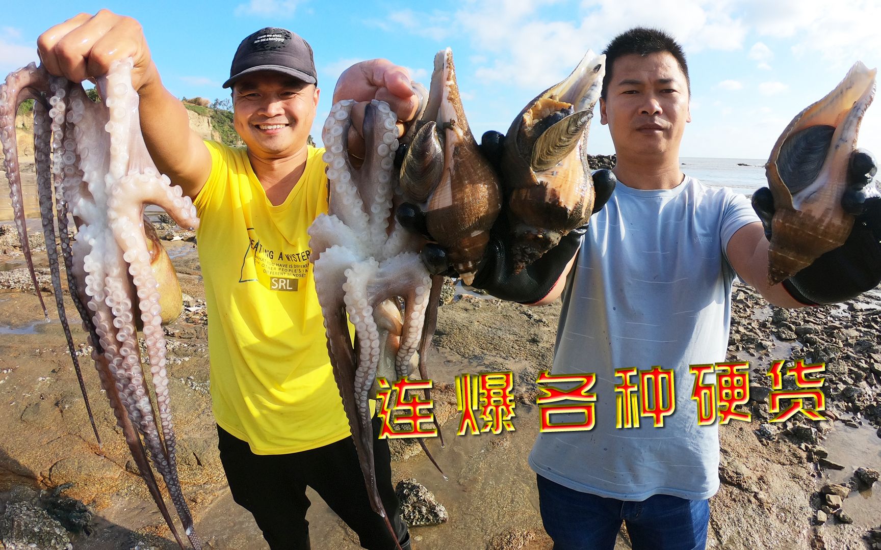 退潮时赶海连爆各种硬货小林比泰泰更兴奋晚上的下酒菜有了