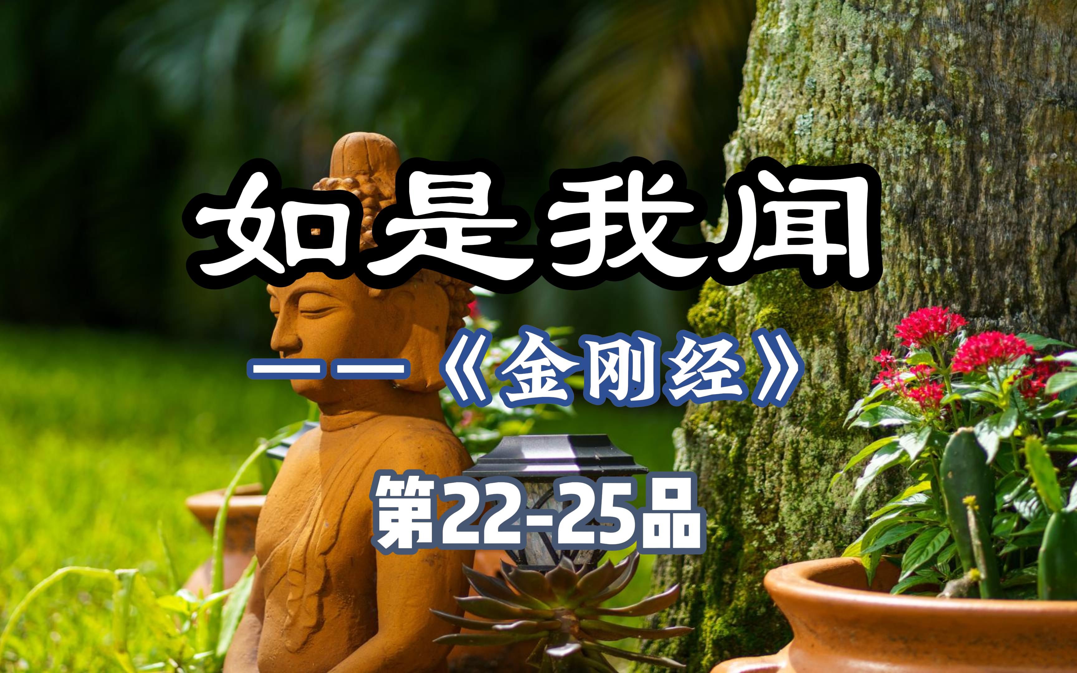 [图]【刀郎】罗林《如是我闻》唱诵版，金刚经第22-25品，佛学经典