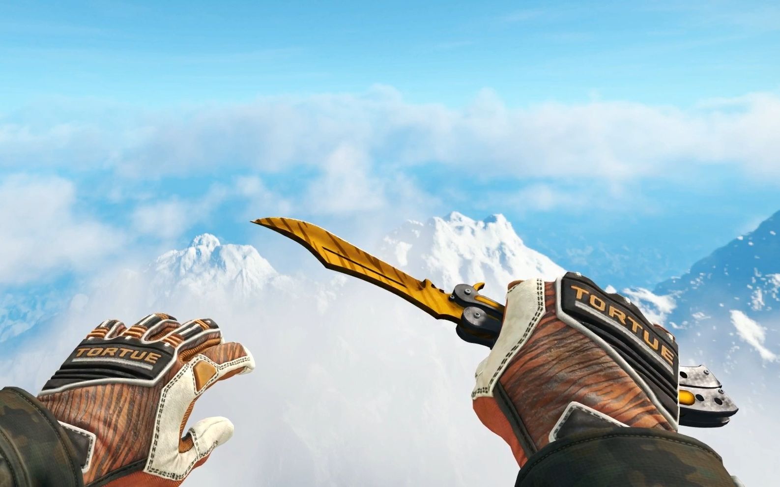 【csgo】蝴蝶刀虎牙   专业手套老虎精英 & a1冒险家乐园