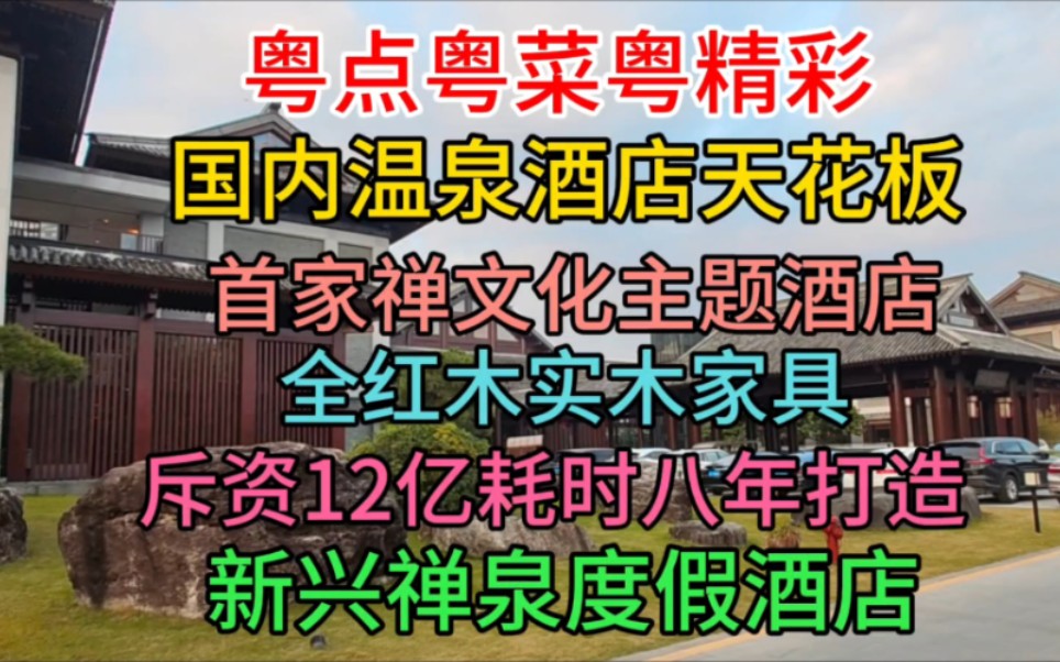 国内温泉酒店天花板,首家禅文化主题全红木家具,斥资12亿耗时八年,新兴禅泉度假酒店哔哩哔哩bilibili