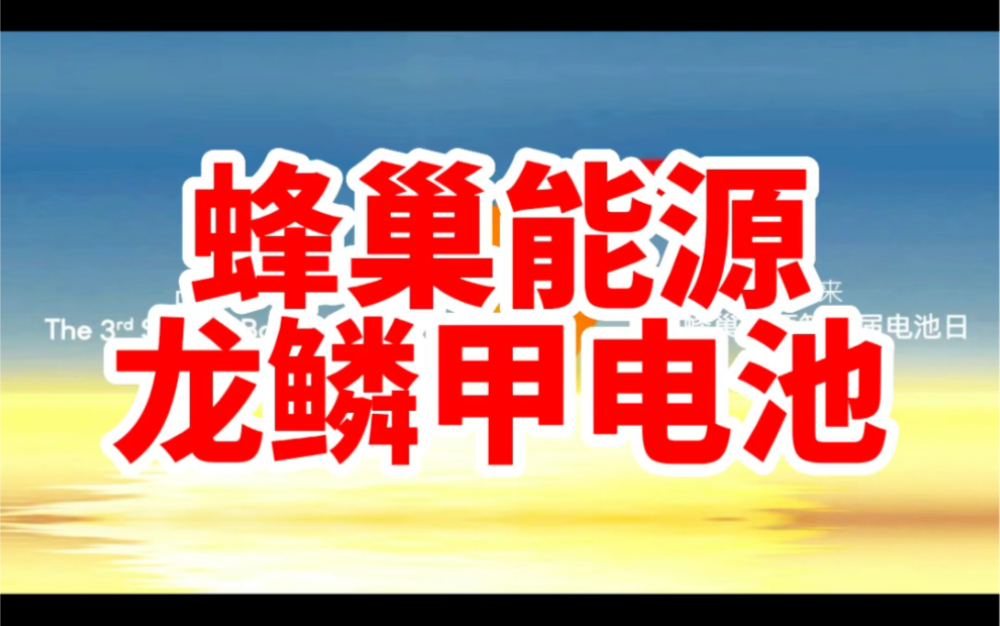 未来新能源汽车电池的最佳“C位”候选人?蜂巢能源的龙鳞甲电池来了哔哩哔哩bilibili