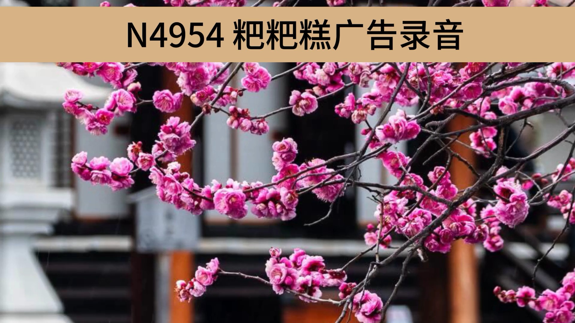 粑粑糕广告录音文案,粑粑糕广告词录音,粑粑糕叫卖录音,粑粑糕喊话