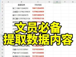 Download Video: Excel提取数据内容