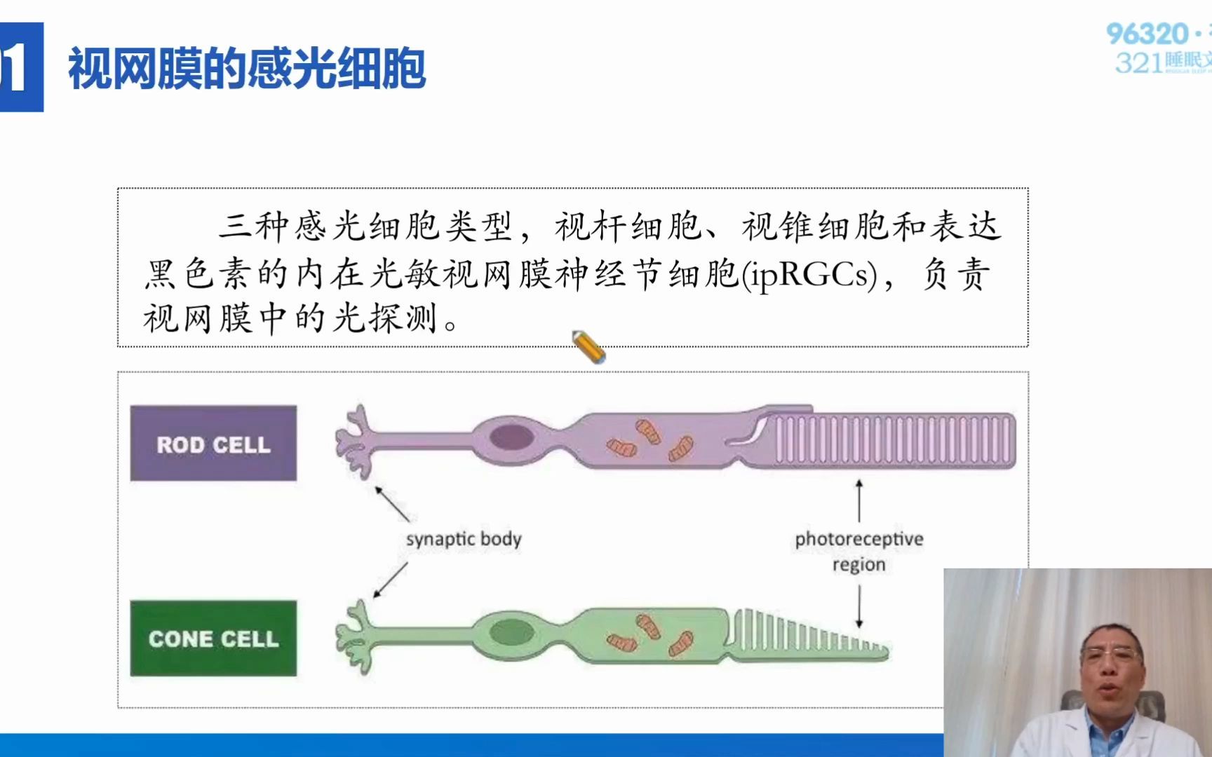 睡眠与睡眠节律哔哩哔哩bilibili