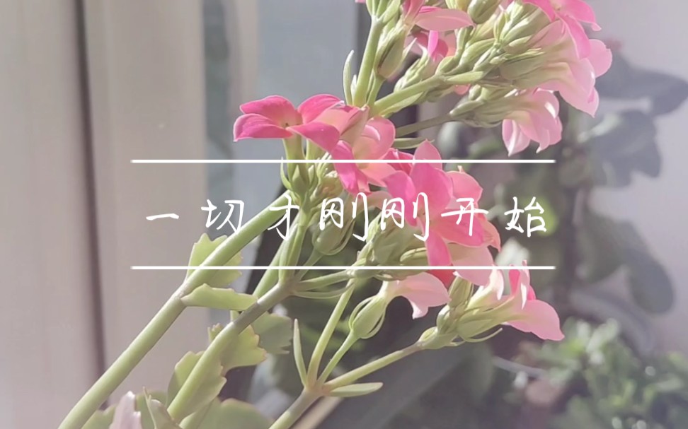 一切才刚刚开始