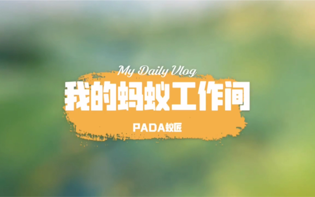 PADA蚁匠特辑我的蚂蚁工作间全面介绍哔哩哔哩bilibili