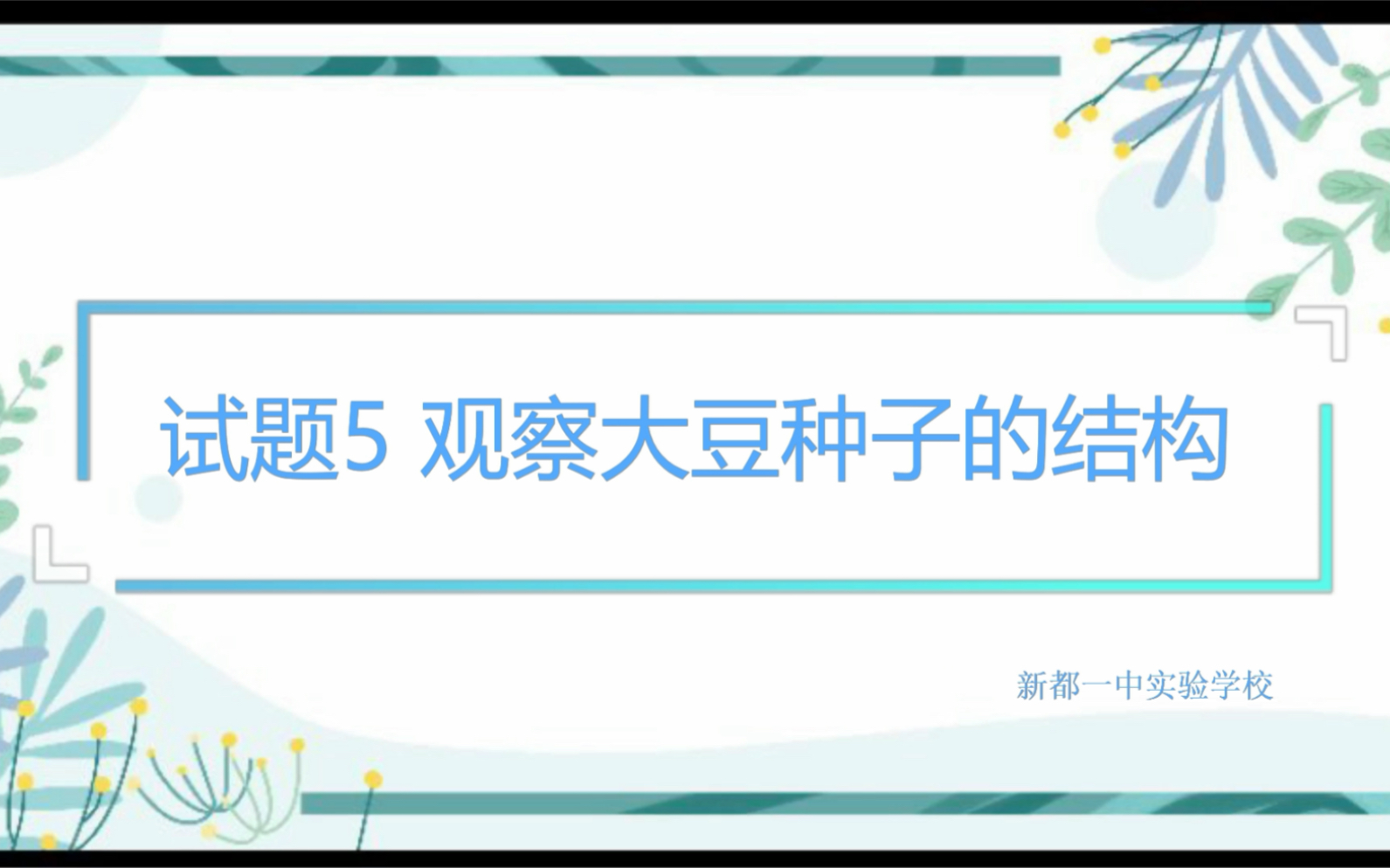 试题5 观察大豆种子的结构哔哩哔哩bilibili